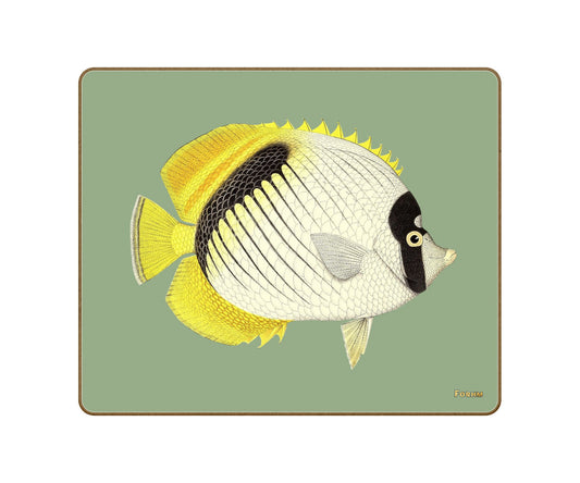 No.4 Butterfly Coasters