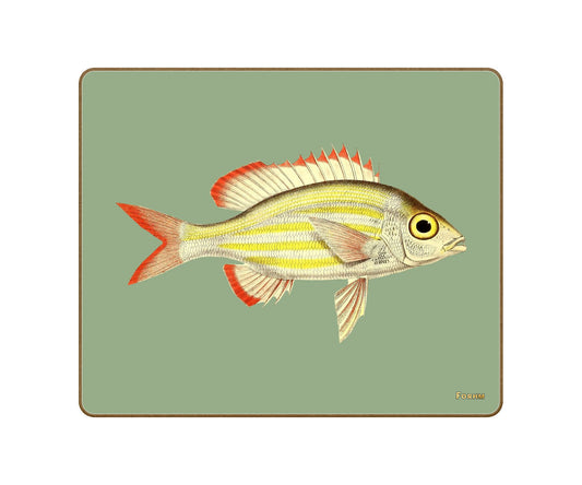 No.5 Assorted Characters