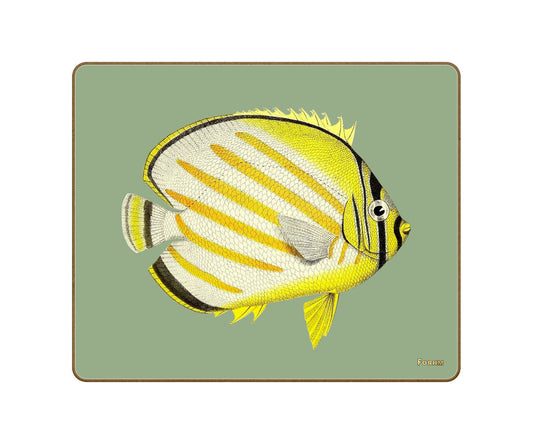 No.4 Butterfly Coasters